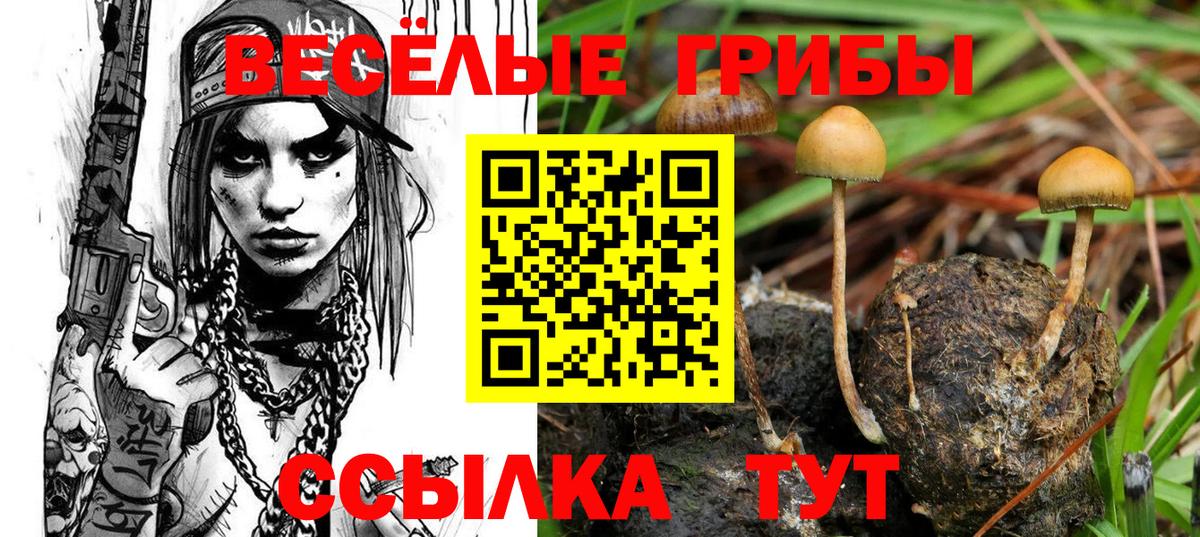 продажа наркотиков  Вход с VPN  Галлюциногенные грибы GOLDEN TEACHER  Севастополь  Псилоцибиновые грибы мицелий 