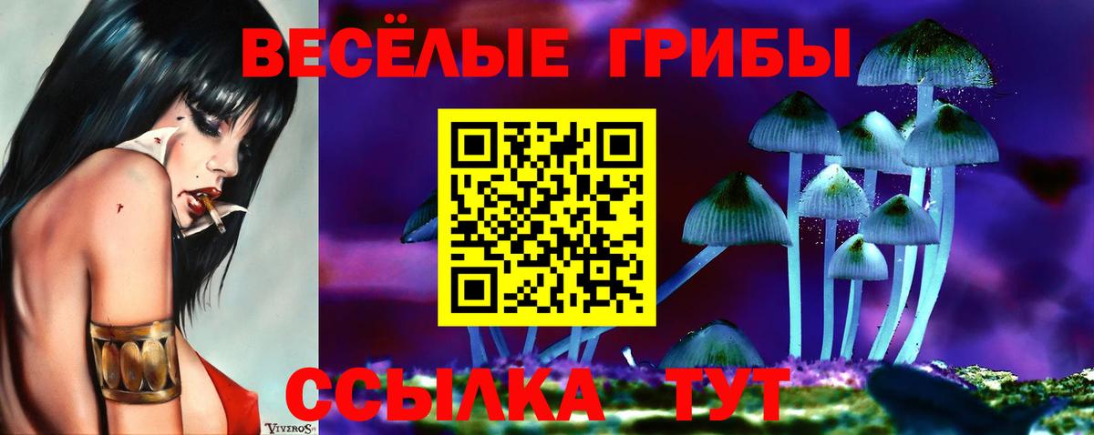 Псилоцибиновые грибы MAGIC MUSHROOMS Севастополь